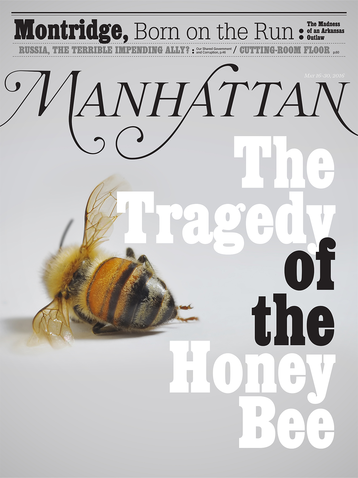 Inventing Anna, Manhattan Magazine