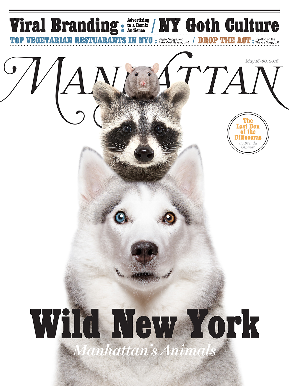 Inventing Anna, Manhattan Magazine