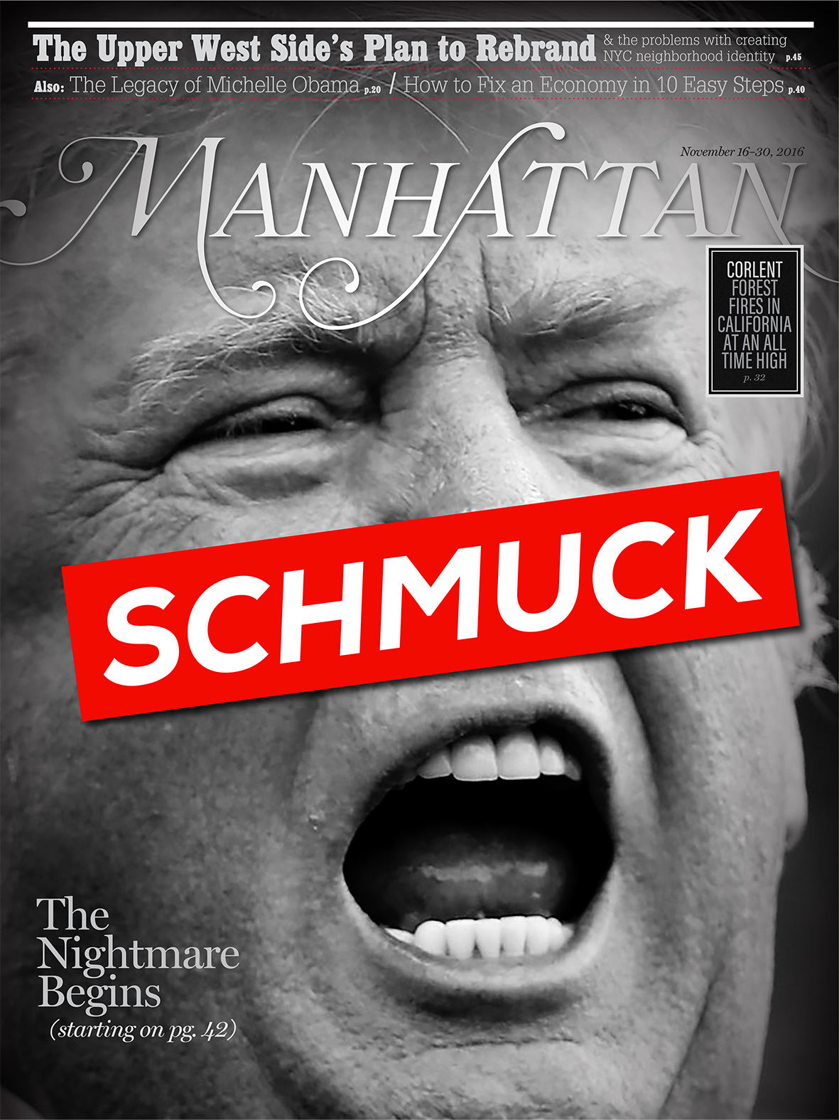 Inventing Anna, Manhattan Magazine